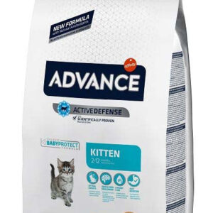 ADVANCE KITTEN