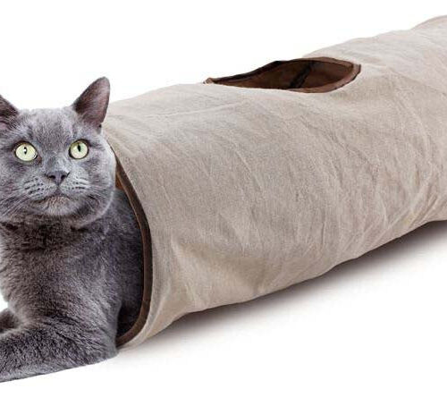 ALL FOR PAWS ClassicTunel pentru pisici Crinkle