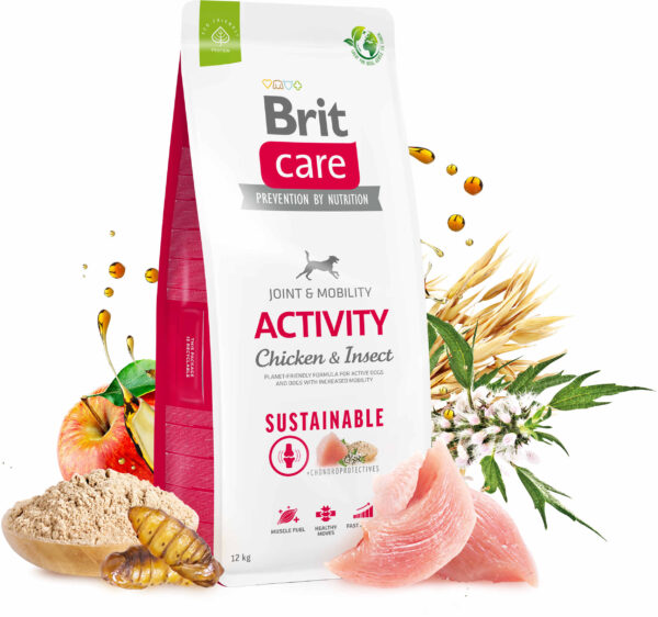 BRIT CARE Sustainable Activity