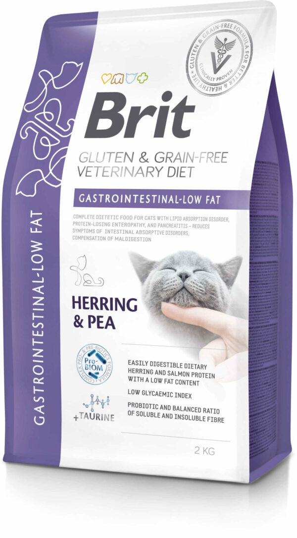 BRIT VD Gastrointestinal Low fat pisici