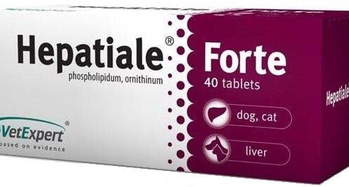 HEPATIALE FORTE Comprimate