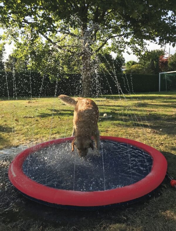 NOBBY Splash-Pool