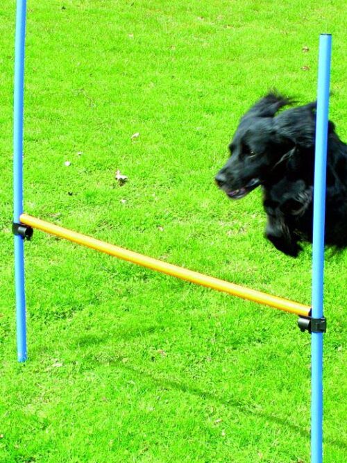 PAWISE Agility Obstacol de agilitate pentru câini