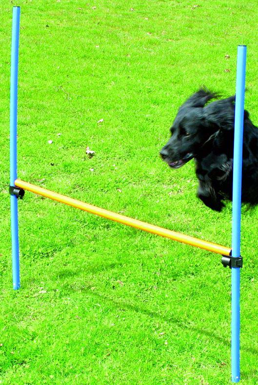 PAWISE Agility Obstacol de agilitate pentru câini