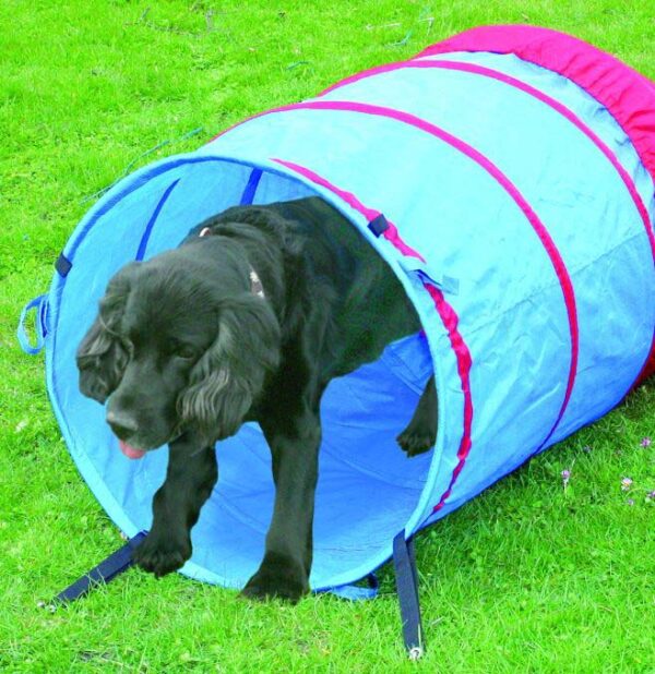 PAWISE Agility Tunel din material textil pentru câini