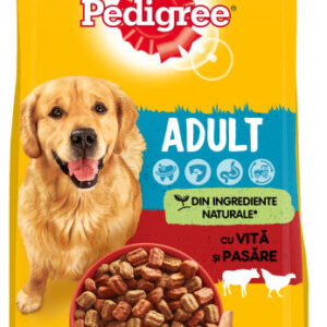 PEDIGREE Hrană uscată pentru câini Adult