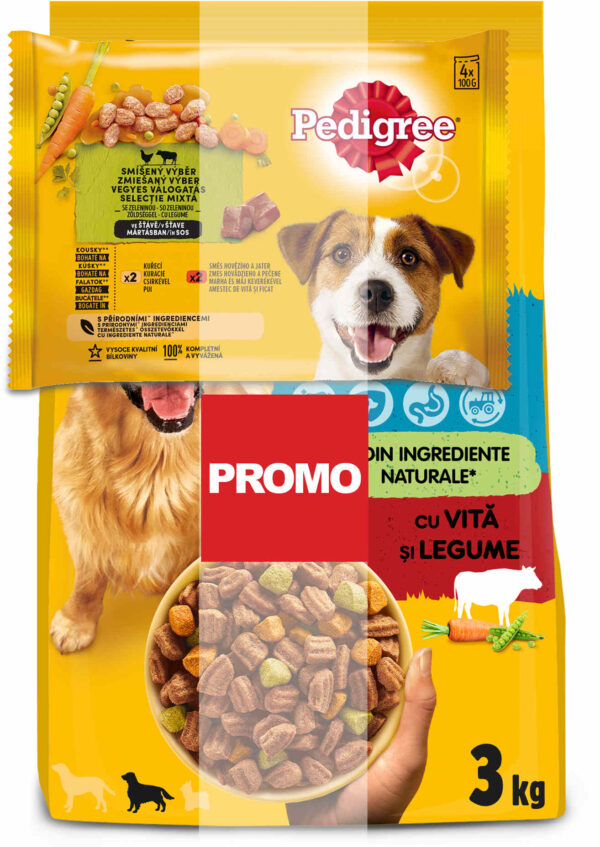 PEDIGREE Hrană uscată pentru câini adulţi