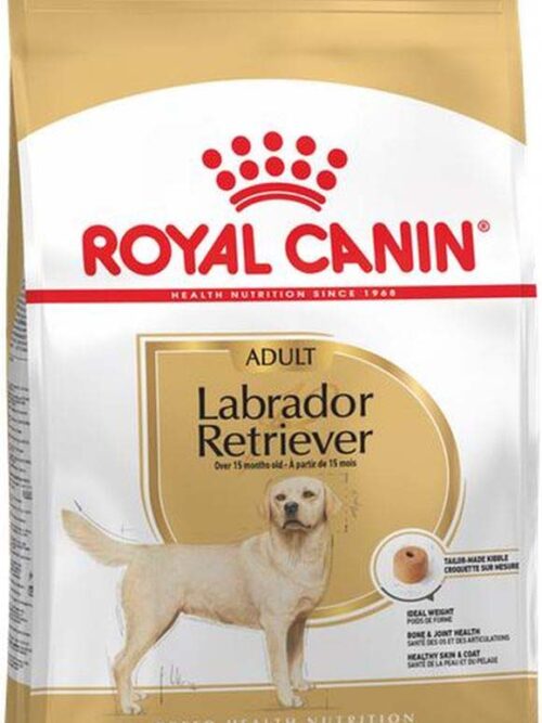 ROYAL CANIN BHN Labrador Retriever Adult