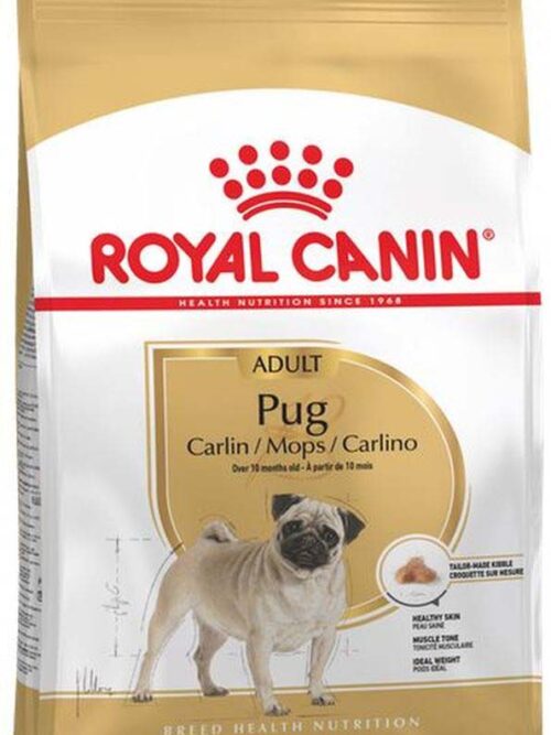 ROYAL CANIN BHN Mops (Pug) Adult 1