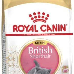 ROYAL CANIN FBN KITTEN British Shorthair