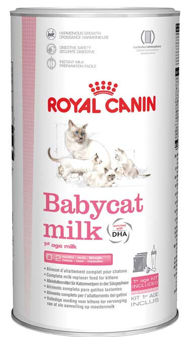 ROYAL CANIN Lapte pentru pisicuţe 300g