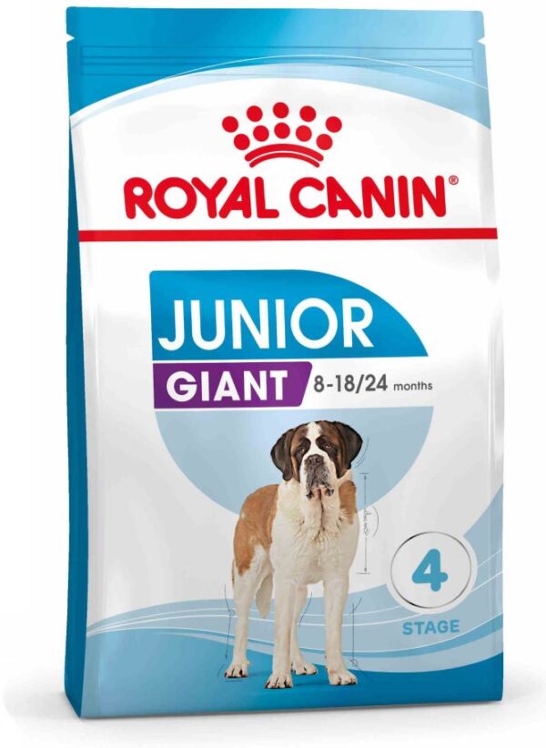 ROYAL CANIN SHN Giant JUNIOR (vârsta între 8 şi 18/24 luni)