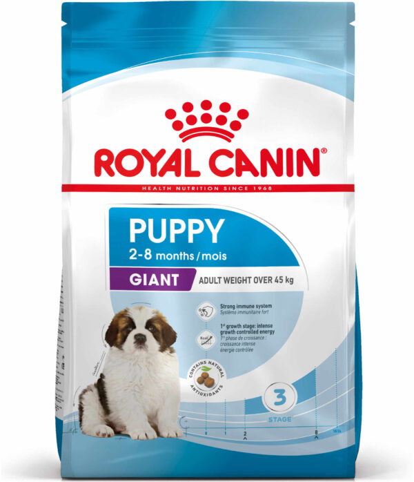 ROYAL CANIN SHN Giant PUPPY (vârsta până la 8 luni)