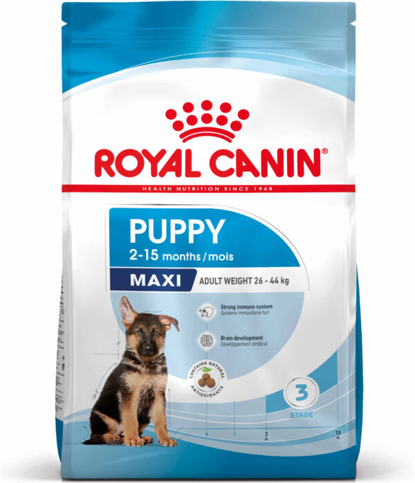 ROYAL CANIN SHN Maxi PUPPY (vârsta până la 15 luni)