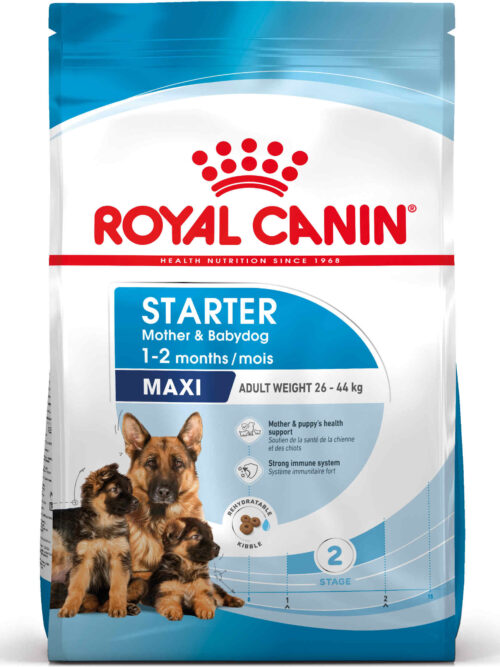 ROYAL CANIN SHN Maxi Starter Mother & Babydog