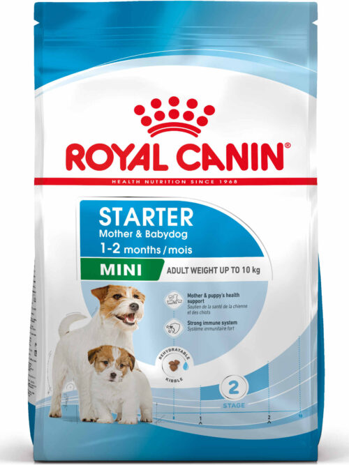 ROYAL CANIN SHN Mini Starter Mother & Babydog pt. femele gestante şi căţei