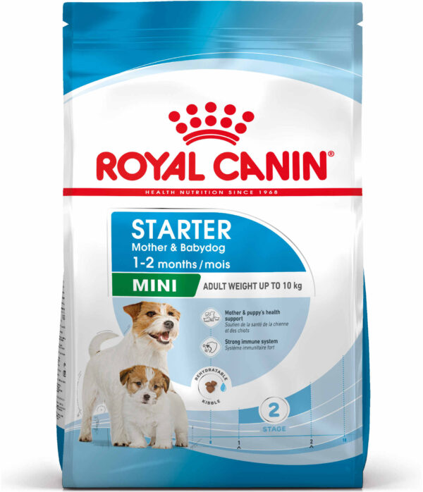 ROYAL CANIN SHN Mini Starter Mother & Babydog pt. femele gestante şi căţei