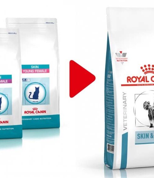 ROYAL CANIN VD Skin & Coat Hrană uscată pentru pisici 1