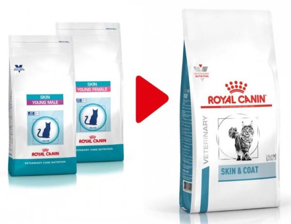 ROYAL CANIN VD Skin & Coat Hrană uscată pentru pisici 1