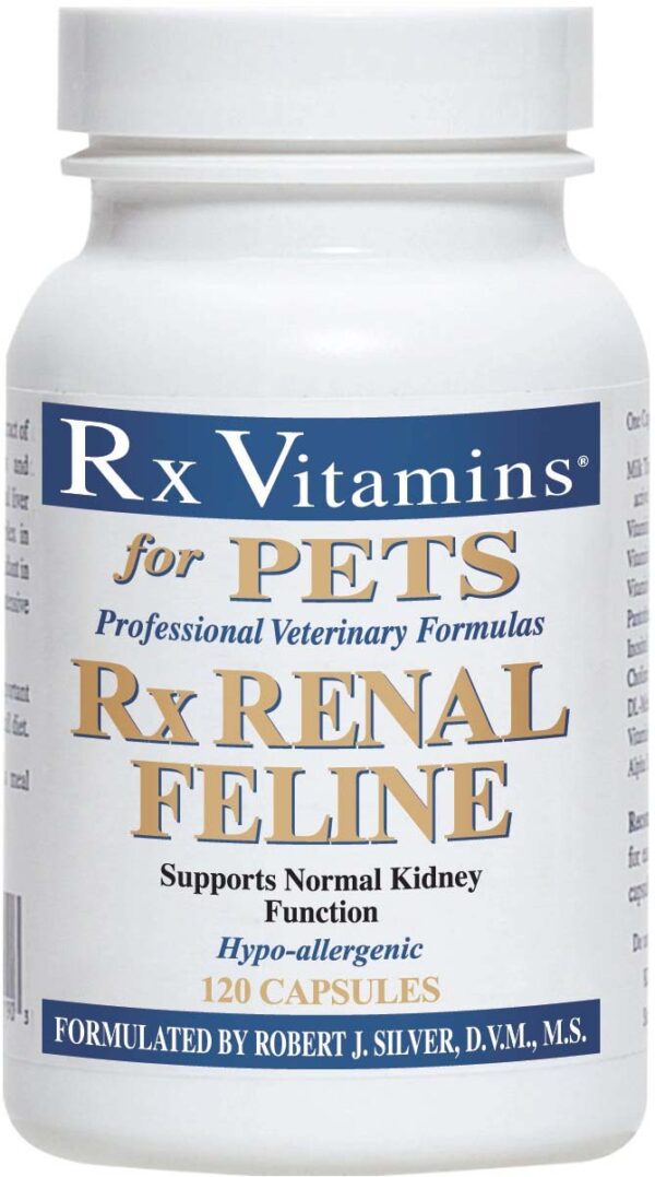 RX VITAMINS Rx Renal Feline Supliment nutriţional